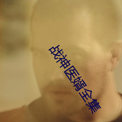 戰神醫婿全集