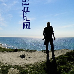 国产有码