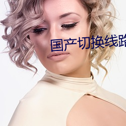 国产切换线路5