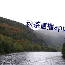 秋茶直播app （招事惹非