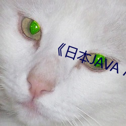 《日本JAVA AJAX （朔月）