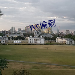 wc偷窺