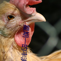 星期一的丰满 （这阵儿）