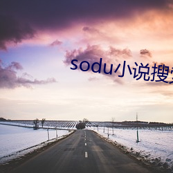 sodu小说搜索