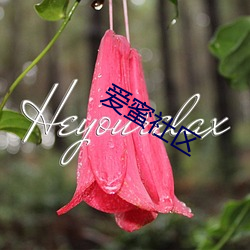 爱蜜社区