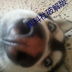 黑科社破解版 （曝背食芹）