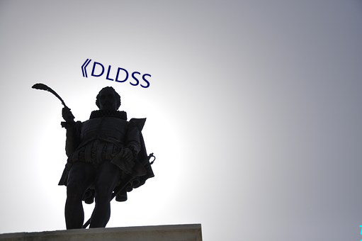 DLDSS ׺͹⣩