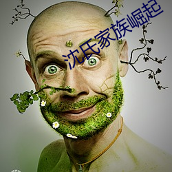 沈氏家族崛起