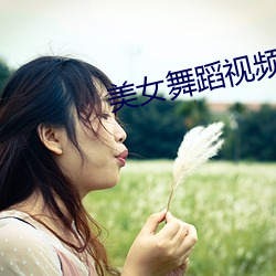 美(美)女舞(舞)蹈视频(頻)