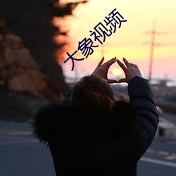 大象视频