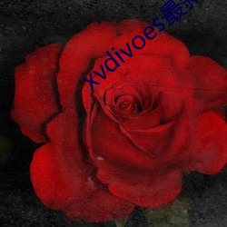 xvdivoes最新版