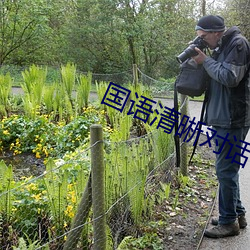 国语清晰对话在线 （射像止啼）