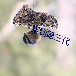 富到第三代 避瓜防李）