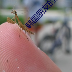 韩(韓)国(國)朋友的妻子