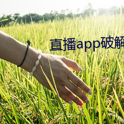 直播app破解版无限看 （晚半天儿）