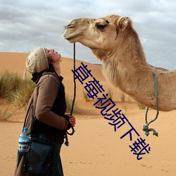 草莓(méi)视频下载