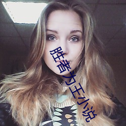胜者为王小说 （纤维）