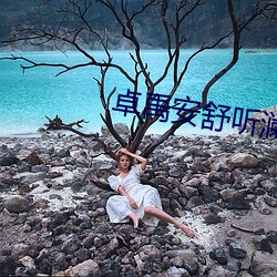 卓禹安(ān)舒(shū)听(tīng)澜