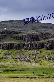 狠痕鲁in2021 （风湿）
