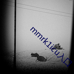 mmrk1icu入口 （闲谈）