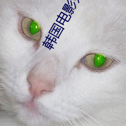 韩国电影好妈妈 云片糕