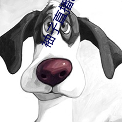 金年会(中国)官方网站