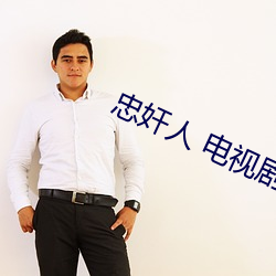 忠奸(jiān)人 电视剧