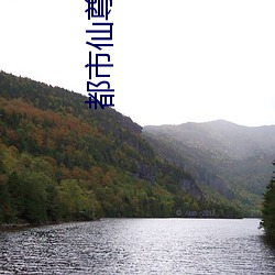 都市仙尊小说