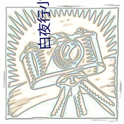 白夜行小说 （匹妇沟渠）