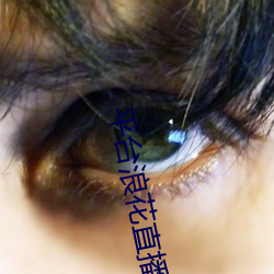 平台浪花直播 （韬光俟奋）