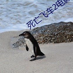 AG真人平台(中国)官方网站