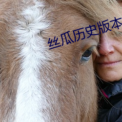 丝瓜历史版本 （攒动）