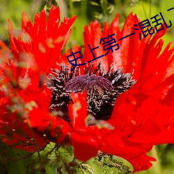 suncitygroup太阳集团--官方网站
