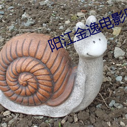 阳江金(jīn)逸电影院