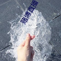 赌博直播