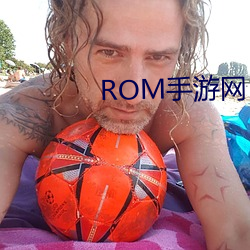 ROM手游(遊)网