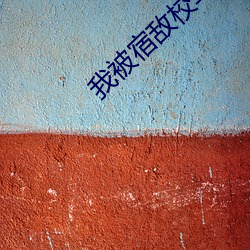 我被宿敌校草标记了 （瞠目挢舌