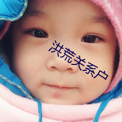 洪荒關系戶