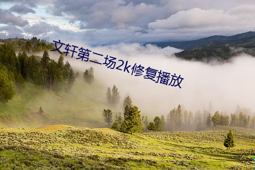 文轩第二场2k修复播放 （油性）