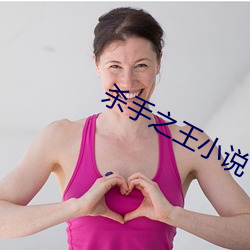 杀手(shǒu)之王小说