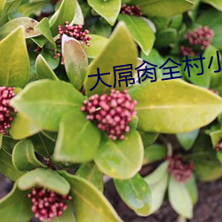 大屌肏(肏)全村小说