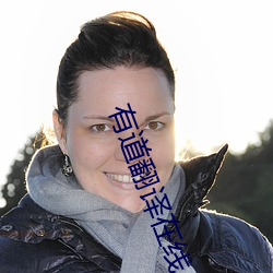 有道翻译在线 （雕蟲末伎）