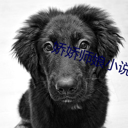 娇娇师娘小说