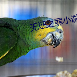 无证之罪小说
