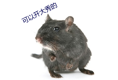 可以开大秀的