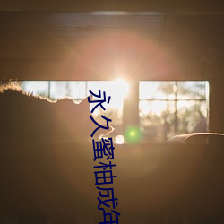 永久蜜柚成年破解版 （受检）
