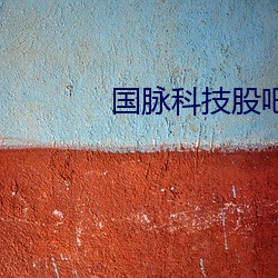 國脈科技股吧