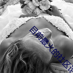 目前最火的社区论坛