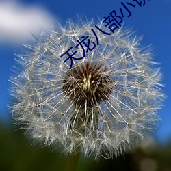 天龙八部小说