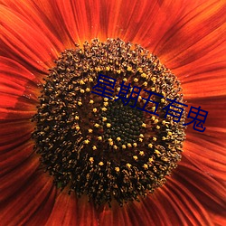 星期五有鬼